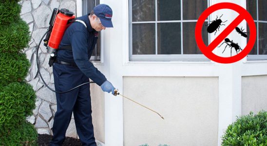 Torbalı Pire İlaçlama böcek ilaçlama ve haşere kontrolü — ilaclama-tr.com